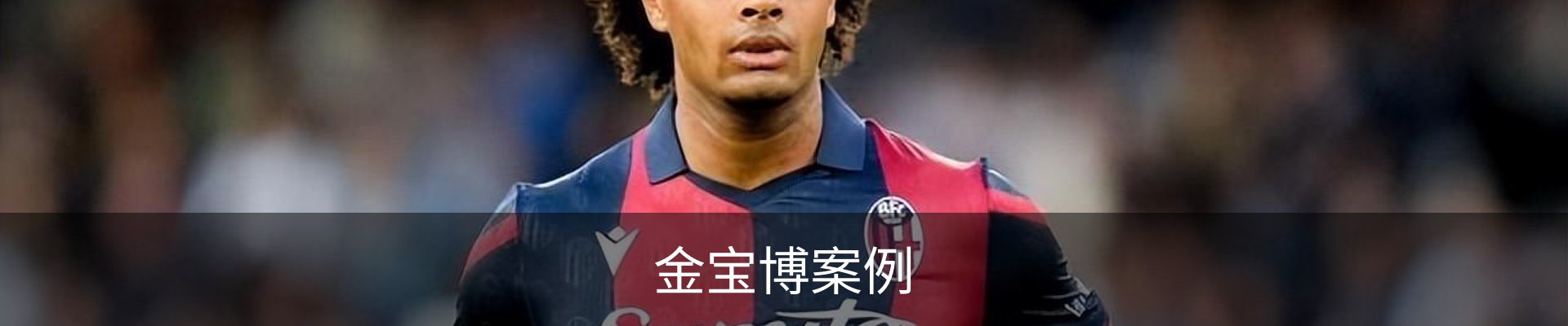 金宝博案例
