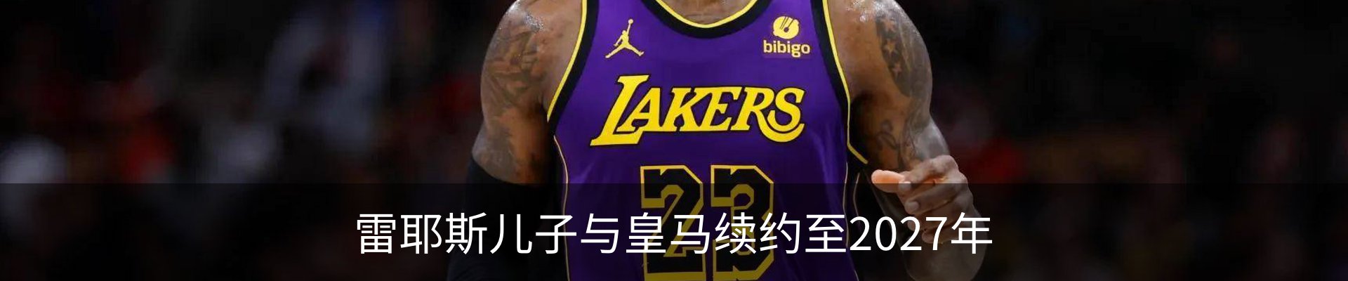 最新动态
